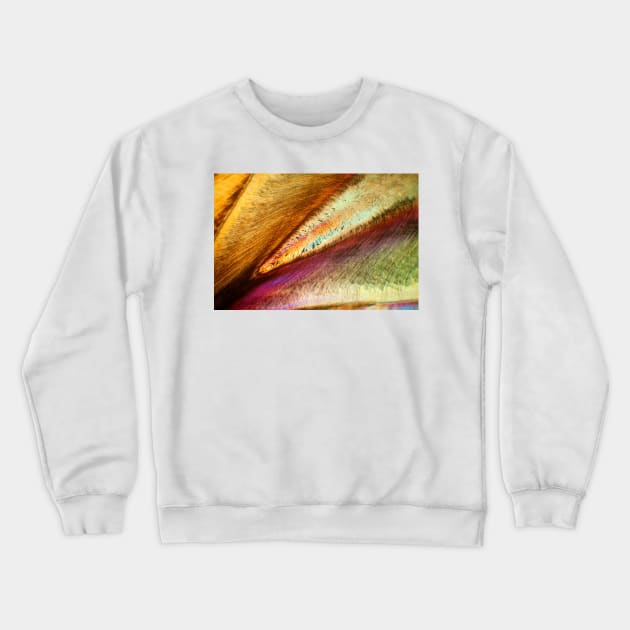 Human tooth, polarised light microscopy (C027/5945) Crewneck Sweatshirt by SciencePhoto